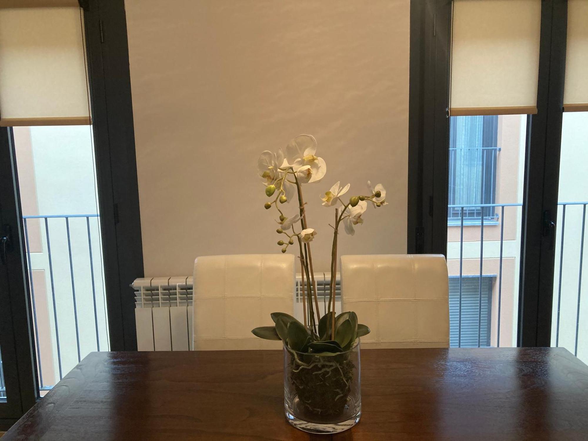 Modern & Cosy Apartment In Jaca Pyrenees Spain Eksteriør billede